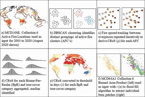 Figure 2. Proposed application of CRoS metric to burn patch extraction. (a) all available MCD14ML active fire locations are used as input to the (b) DBSCAN clustering and (c) fire spread tracking phases (see Figure 3 for additional details). (d) summary metrics, e.g., median CRoS (?), are calculate for each combination of Biomes-per-Realms and tree-cover category and converted into e) spatially explicit cell-to-cell ?-thresholds used to control f) flood-fill algorithms for individual burn patch extraction.