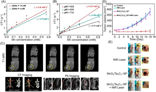 Figure 7 1/T1 vs Mn concentration for MnOx/Ta4C3−SP composite nanosheets in buffer solution (A) at different GSH concentrations and (B) at different pH values after soaking for 3 hours. (C) Corresponding T1-weighted imaging of 4T1 tumor-bearing mice after intravenous administration of MnOx/Ta4C3−SP composite nanosheets for prolonged time intervals. (D) Time-dependent tumor-growth curves of four groups (control, NIR laser, MnOx/Ta4C3-SP, and MnOx/Ta4C3-SP + NIR laser groups) after receiving different disposes. (E) Digital images of tumors from each group at the end of the various treatments. Reproduced from Dai C, Chen Y, Jing XX, et al. Two-Dimensional Tantalum Carbide (MXenes) Composite Nanosheets for Multiple Imaging-Guided Photothermal Tumor Ablation. ACS Nano. 2017;11(12):12696–12712.Citation131 Copyright © 2017 American Chemical Society.