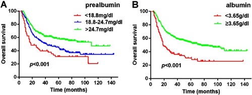 Figure 1 Kaplan–Meier survival curve for ESCC patients with three different serum prealbumin levels (A) and for ESCC patients with two different serum albumin levels (B).