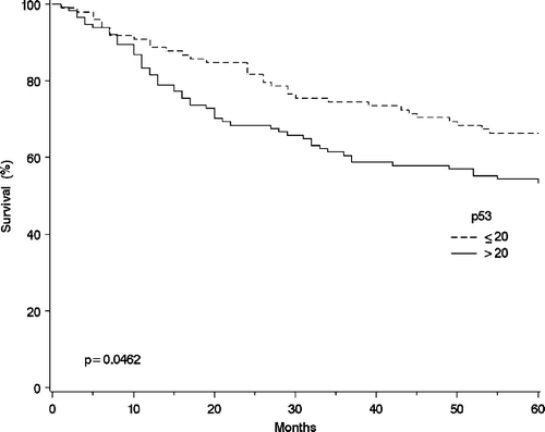 Figure 2.  The overall survival curves of the salivary gland cancer patients (n = 212) using the Kaplan-Mayer method for the p53 expression measured with immunohistochemistry: p53 ≤ 20 (n = 98); and p53 > 20 (n = 114).