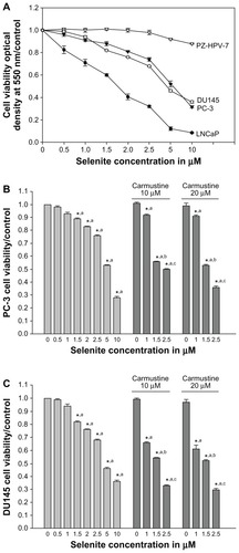 Figure 1 Nontoxic doses of selenite enhance cytotoxicity in PC-3 cells sensitized with carmustine. (A) Prostate cancer cells (LNCaP, DU145, and PC-3) and normal prostate epithelial cells (PZ-HPV-7) were treated with different concentrations of selenite (0.5–10 μM) for 48 hours. Cell viability was then determined as described in the Materials and methods section. Data are presented as the mean ± standard deviation (*P < 0.05; n = 4) and expressed as a percentage of viable cells. Data were normalized to the control. (B) PC-3 and (C) DU145 cells were pretreated with 10 or 20 μM carmustine for 30 minutes and then treated with the indicated concentrations of selenite (0.5–10 μM) for 48 hours. Cell viability was then determined. The data are presented as the mean ± standard deviation. (*P < 0.05; n = 3) and expressed as the percentage of viable cells. Data are normalized to the control. Comparisons shown: (a) significant compared with vehicle-treated control; (b) significant compared with 1.5 μM selenite-treated cells; (c) significant compared with 2.5 μM-selenite-treated cells.