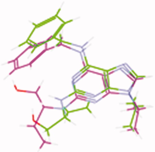 Figure 8. The superimposition 3D diagram of co-crystallised (green colour) and ligand after docking (purple colour) at the active site.