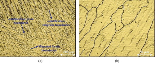 Figure 9. Optical micrographs of filler 82 welding metal microstructure in two different magnifications: (a) 200 µm and (b) 50 µm.