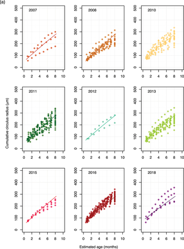 Figure 4. (a) Cumulative circulus distance (μm) observed in scales of wild, spring/summer-run, subyearling Chinook salmon at Valley Creek by estimated age at each deposited circulus, assuming subyearlings were 8 months old at time of sampling. Lines represent predicted relationship from von Bertalanffy model using the median Kˆ associated with each brood year. (b) Same as Figure 4a, except for spring/summer-run, yearling Chinook salmon at Lower Granite Dam in 2019 (i.e., brood year 2018); and the estimated age at each deposited circulus was with the assumption that yearlings were 18 months old at time of sampling.