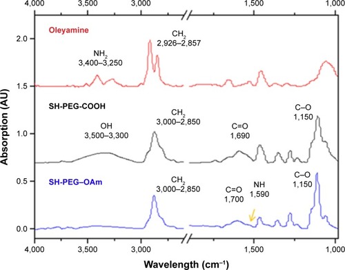 Figure 3 FT-IR spectra of oleylamine, SH-PEG-COOH, and coupled SH-PEG–OAm.Note: Coupling is verified by the appearance of NH bending vibration at 1,590 cm−1 and loss of terminal –OH and –NHCitation2 absorptions. The yellow arrow indicates the formation of amide bond in SH-PEG-OAm.Abbreviations: FT-IR, Fourier transformed infrared spectroscopy; OAm, oleylamine; PEG, poly(ethylene glycol).