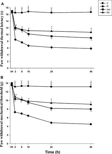 Figure 4 (A, B) Effect of NMDA antagonist and iwp-2 in remifentanil-induced hyperalgesia. Ro25-6981 and iwp-2 were administered intrathecally 30 min before remifentanil infusion and surgical incision. Paw withdrawal thermal latency (A) and paw withdrawal mechanical threshold (B) were evaluated at −24 h before incision and at 2, 6, 10, 24 and 48 h after remifentanil infusion. Groups allocation: R: Group remifentanil; C: Group Control; Ro: Group Ro25-6981 plus remifentanil; iwp: Group iwp-2 plus remifentanil. Data were expressed as means± SEM (n = 6). *P < 0.001 compared with Group R, #P < 0.001 compared with Group Ro, ΔP < 0.001 compared with Group iwp, +P < 0.05 compared with Group iwp.