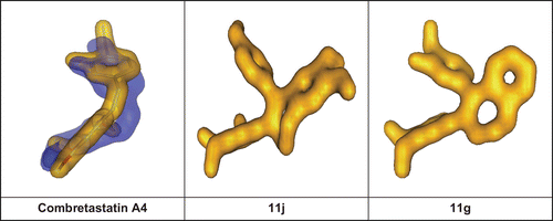 Figure 4.  PostDOCK view of docked compounds combretstatin A-4, 11j, and 11g using FREDv2.2.1 combined with Chemgauss3 as a scoring function.