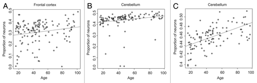 Figure 6. Variation of neuronal proportion by age. CETS model predicted neuronal proportion (y-axis) vs. age in years (x-axis) for frontal cortex (A), cerebellum (B), and cerebellum excluding outlier neuronal predictions (C). Outliers were those predictions located beyond the 9th and 91st percentile of the predicted neuronal distribution.