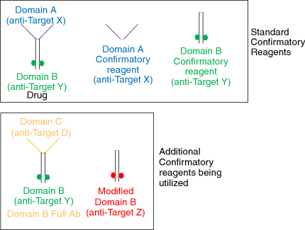 Figure 4. Different reagents used for troubleshooting the confirmatory assay. The standard confirmatory reagents shown in the top panel from left to right include the drug (full-length antibody containing domains A and B), domain A (fragment of the drug binding to target X), and domain B (fragment of the drug binding to target Y). The additional confirmatory reagents being utilized include a full-length antibody (bottom left) with domain B (same as the drug) and domain C (binding to an irrelevant target D); and a modified domain B (bottom right) where the paratope has been modified to bind to an irrelevant target Z. The polyclonal positive control (PC) has been purified to remove anti-drug antibodies against the humanized IgG backbone, resulting in the PC containing antibodies specifically targeting domains A and B. When the domain A+B (drug) is added, it binds to all the PCs, confirming the presence of antibodies against all domains of the drug. In contrast, the domain B+C molecule would only bind to the antibodies raised against domain B, with no signal reduction from the antibodies against domain A. The polyclonal PC mix does not contain antibodies against domain C.