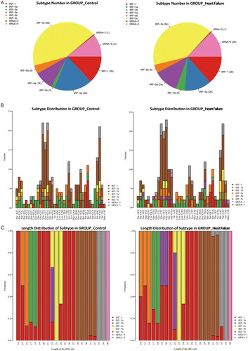 Figure 2. (A) Pie charts of the distribution of subtypes of tRFs & tiRNAs of epicardial adipose tissue in controls and heart failure. Stacked bar charts showed the number of subtypes of tRFs and tiRNAs against tRNA isodecoders (B) and the frequency of subtype against the length of tRFs and tiRNAs (C) in the two groups.