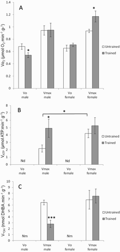 Figure 1. Effects of gender and training on (a) oxygen consumption VO2, (b) ATP production VATP, and (c) •OH production V•OH rates in permeabilized gastrocnemius muscle fibers of untrained (white histogram) and trained Wistar rats (gray histogram). VO2 and VATP were measured in the absence (V0) and in the presence (Vmax) of ADP and V•OH was measured only in the presence of ADP. Values are means ± SEM. A two-way ANOVA and Student’s t-tests were used to compare trained vs. untrained and female vs. male rats. *P < 0.05, **P < 0.01, ***P < 0.001. Nd = not detected and Nm = not measured.