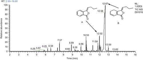 Figure 1.  Fingerprintof the essential oil analyzed by GC-MS. (A) Butylidenephthalide (3-butylidene-1(3H)-isobenzofuranone), (B) Ligustilide (3-butylidene-4,5-dihydro-1(3H)-isobenzofuranone).