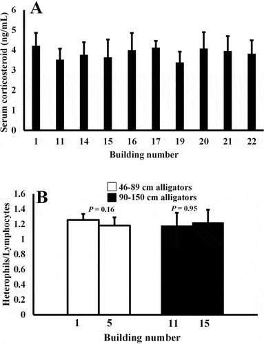 Figure 3. Plasma CORT concentrations (A) in alligators housed in 10 different buildings were not statistically discernable. (P > .05; n = 6–8 alligators sampled from each building). Plasma H/L ratios (B) were also not different in animals housed in different buildings (P > .05, 2 enclosures from each building, n = 5 animals sampled per enclosure).