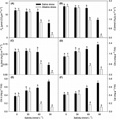 Figure 3 Effects of saline and alkaline stress on (A) net photosynthetic rate (PN), (B) transpiration rate (E), (C) stomatal conductance (gS), (D) chlorophyll (Chl) a, (E) chlorophyll (Chl) b and (F) carotenoids (Car) in Lathyrus quinquenervius leaves. The 8-week-old L. quinquenervius seedlings were treated with saline stress (NaCl : Na2SO4 = 9:1; pH 6.44–6.65) and alkaline stress (NaHCO3 :  Na2CO3 = 9:1; pH 8.71–8.89) for 10 days. In each column, the data markers identified with the same letters are not significantly different (P < 0.05) according to a least significant difference test. The error bars represent ± standard error (n = 4) of four replicates. FW, fresh weight.