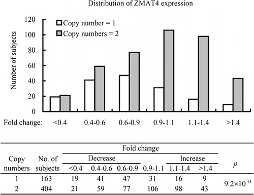 Figure 1. Expression of ZMAT4 mRNA in samples with 1 or 2 copies of DNA. The relative expression level of ZMAT4 mRNA was calculated by using the comparative C(T) method with RNAse P as the internal control. Fold change of each sample was calculated as follows: fold change = relative expression level/average expression level in the group with 2 copies of DNA. Y axis indicates the number of samples in each level of fold change. P value was calculated by chi‐square test.