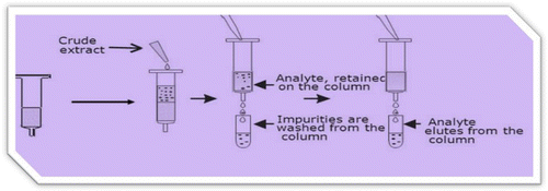 Figure 1. AflaCLEAN Immunoaffinity column.