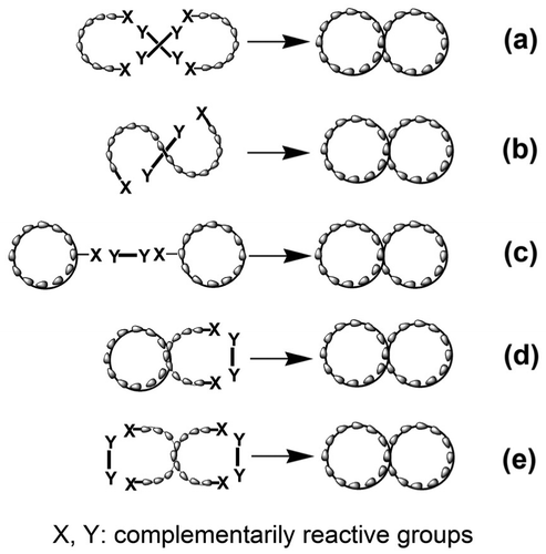 Scheme 1 Schematic representation of synthesis of 8-shaped polymers.