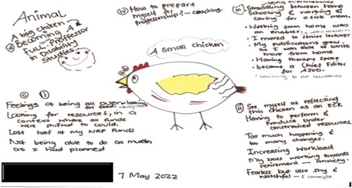 Example 1. Norma’s metaphor drawing: I’m just a small chick aspiring to be a big chicken