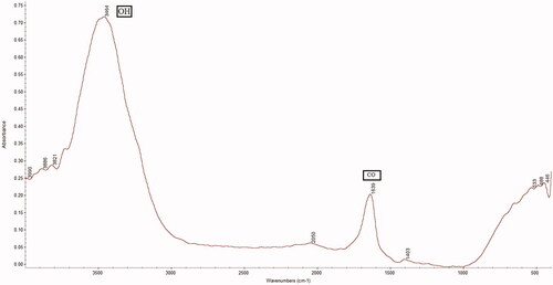 Figure 2. FTIR spectra of folic acid-ZnO nanoparticles. The COOH bands represented the folic acid conjugated with zinc oxide.