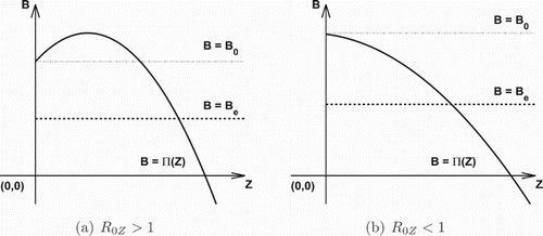 Figure 2. The graphs of functions B=Π(Z) and B=constant.