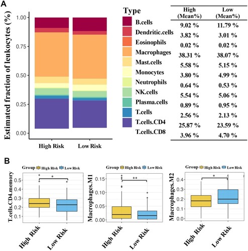 Figure 6. CMS-related immune cell infiltration and inflammatory activities. The average proportion of immune cells in the samples (A). Significant differences in the proportion of three immune cells between high- and low-risk patients (B). *P < 0.05 and **P < 0.01.