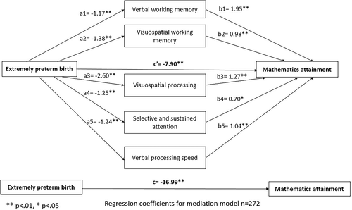 Figure 1. Regression coefficients between EP birth, neuropsychological skills and mathematics scores.