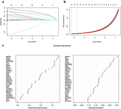 Figure 4 Machine learning screening for DEIRGs. (a) Path diagram of the LASSO coefficients for the 15 hub genes in PD. Each curve represents the trajectory of each hub gene, with the vertical axis indicating the coefficient of the gene. The lower horizontal coordinate is log(lambda), and the upper horizontal coordinate is the number of non-zero hub genes in the model at this time. As lambda varies, variables with coefficients that are compressed to 0 later are considered more important. (b) LASSO regression cross-validation curve. Optimal lambda values were determined using 10-fold cross-validation. There are two dashed lines in the figure, corresponding to lambda.min and lambda.1se from left to right. (c) RF algorithm.