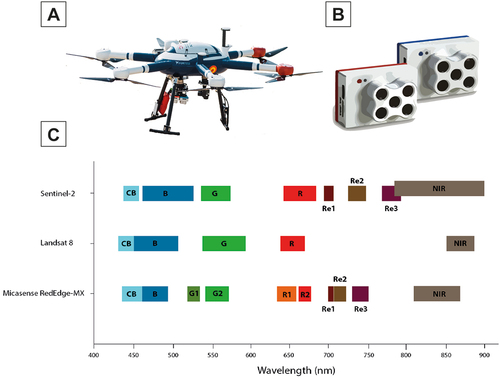Figure 2. (a) Condor hexacopter used in this research. (b) Micasense RedEdge-MX dual multispectral camera. (c) Sentinel-2, Landsat 8 and Micasense RedEdge-MX spectral bands comparison.