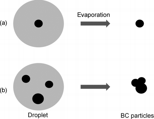 FIG. 10 Expanded view of the process of evaporation of droplets containing (a) single BC particle and (b) multiple particles.