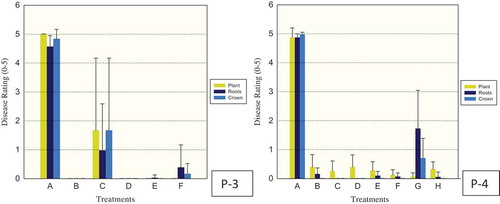 Fig. 4 (Colour online) Efficacy of fungicides for control of Phytophthora capsici in greenhouse pepper (P-3, 4) trials. Drench treatments for P-3 consisted of: A – control (water), B – fluopicolide (Presidio), C, D, E – cyazofamid (Ranman) at 0.15, 0.25 and 0.35 ml L−1, respectively, F – control (No Treatment applied). Drench treatments for P-4 consisted of: A – control (water), B – fluazinam (Allegro), C – mandipropamid (Revus), D, E, F – cyazofamide (Ranman) at 0.15, 0.25 and 0.35 ml L−1, respectively, G – metalaxyl (Ridomil), H – control (No Treatment applied). Plant, roots and crown tissues of pepper were rated separately using 0 (healthy) to 5 (dead) scale 18 and 19 days after inoculation for P-3, 4, respectively. The vertical lines denote standard error.