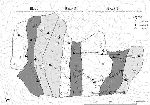 Figure 1 Sampling locations and experimental design (3 enclosures with different sheep densities in 3 blocks) Hol, southern Norway. The area of each enclosure is ∼0.3 km2, total area is ∼2.7 km2. White enclosures  =  no sheep (control), light gray enclosures  =  low (25 sheep km−2) and dark gray enclosures  =  high (80 sheep km−2) sheep densities. Points represent three different sampling locations for soil, soil water, and vegetation. At location A (27 soil plots; 3 altitudinal levels), soil and soil water were sampled. At location B (54 soil plots; 2 altitudinal levels) soil and soil water were sampled in addition to determination of in situ PRS™-adsorbed inorganic nitrogen. At location C (89 soil and vegetation plots) soil (subsamples used to determine potential N mineralization) and vegetation were sampled.