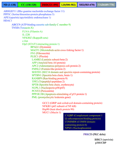 Figure 1. STAT3 domains form multiple binary interactions. Selected interactions are shown for which interacting STAT3 domains have been characterized. The location of the interacting STAT3 domain is color-coded. In the cases where interacting domain is not localized precisely or interaction involves two domains, gradient coloring is used. ND, N-terminal doman; CC, coiled-coil domain, DBD, DNA-binding domain, LD, linker domain, SH2, SH2-domain, TAD, transactivation domain.