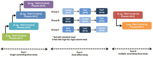 Figure 1 The scheme of study design.