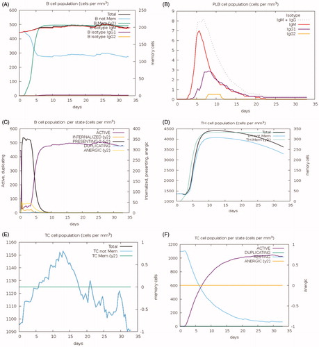 Figure 11. Immune response to MMP-9 as predicted by the C-IMMSIM Online server. The plot shows the simulated levels of memory cells, B cell, and T cells after the introduction of MMP-9 protein to the human body. Act = active, Intern = internalized the Ag, Pres II = presenting on MHC II, Dup = in the mitotic cycle, Anergic = anergic, Resting = not active.