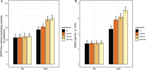 Figure 9. Determination of total antioxidant activity in seedling extracts in control and FeONP-treated plants under NS and SAS. (A) Antioxidant activity of 2,2-diphenyl-1-picrylhydrazyl (DPPH), (B) antioxidant activity of ferric reducing antioxidant power (FRAP) assays. The data represent the mean values obtained from three independent experiments with error bars indicating standard errors. Bars marked with distinct letters denote significant differences, as determined by the Duncan test (p < 0.05).