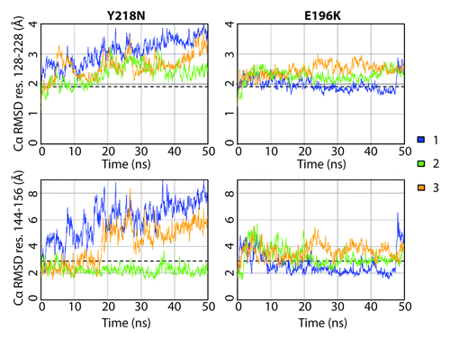 Figure 2. Cα RMSD of the globular domain (residues 128–228) and HA (residues 144–156) for Y218N and E196K simulations (three simulations of each). The globular domain was aligned for calculating Cα RMSD residues 128–228, and the core domain (residues 174–186 and 200–219) was aligned for calculating Cα RMSD residues 144–156. Window averages (100 ps) of the Cα RMSD are shown for all mutant simulations. The average Cα RMSD value over the last 25 ns of the four WT simulations are shown as dashed lines.