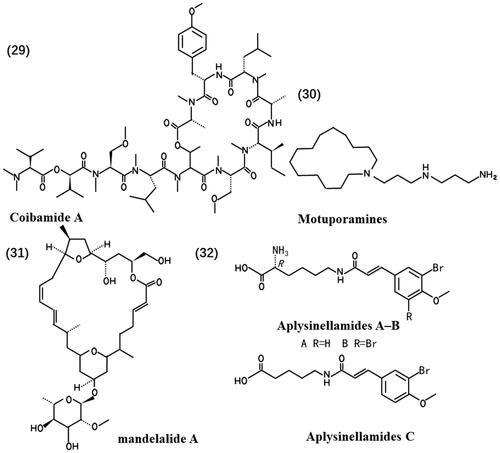 Figure 4. Chemical structures of the anti-glioma marine natural products (29-32).