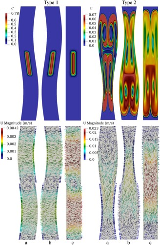 Figure 7. Tracer concentration (C) and the corresponding flow field at different times for an rhl of 7.50: (a) t = 200 s; (b) t = 400 s; (c) t = 600 s.