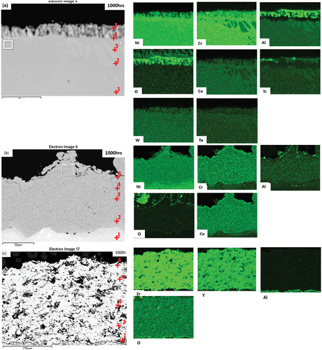 Figure 8. Backscattered and EDX maps for test 2 exposed for 1000 h (a) CM247, (b) CM247 + SC2464 and (c) CM247 + SC2464 + 8YSZ.