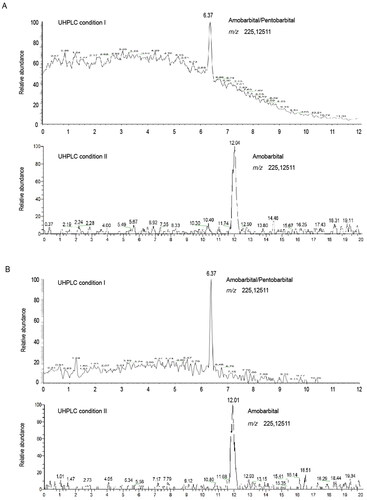 Figure 3. Extracted ionic chromatogram obtained from the optimized UHPLC-HRMS analysis of amobarbital in authentic hair samples (A: 1–2 cm segment; B: 2–3 cm segment).