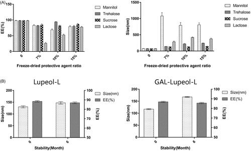 Figure 2. Freezing and stability of liposomes.