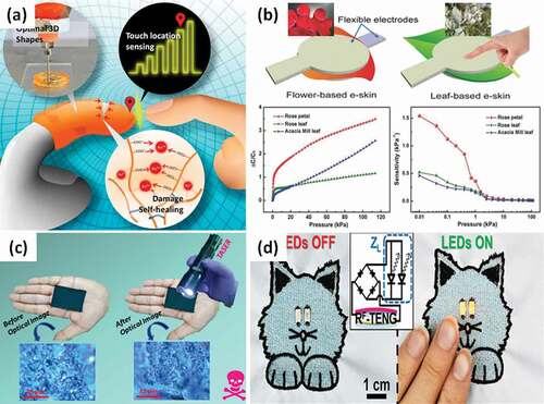 Figure 3. (a) Three-dimensional fingertip-shaped artificial skin device by 3D printing, which can sense exact touch location and heal mechanical damage spontaneously. Reproduced with permission from Ref [Citation80]. copyright 2019 American Chemical Society. (b) Schematic illustration of the e‐skin consisting of two electrodes and the natural material (flower and leaf) as the dielectric layer in between. Besides, the graphs show the capacitance change and the sensitivity when applied pressure on three types of e-skins based critical point dried rose petal, rose leaf, and acacia leaf. Adapted with permission from Ref [Citation81]. copyright 2018 Wiley-VCH. (c) Soft-touch textile sensors in high-voltage TASER test to short out the electrical shock. Adapted with permission from Ref [Citation86]. copyright 2020 American Chemical Society. (d) Omniphobic triboelectric nanogenerators (RF‐TENGs) from e-textiles with the shape of a cat powering two LEDs embroidered as eyes (when touch). Adapted with permission from Ref [Citation88]. copyright 2019 Wiley-VCH
