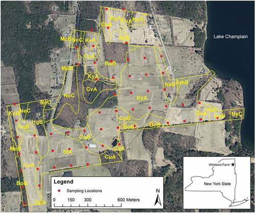 Figure 3. Map of Willsboro Farm, Willsboro, NY (Essex County) with the following soil types: Entisols (Claverack loamy fine sand, 3% to 8% slopes, CqB; Cosad loamy fine sand, 0% to 3% slopes, CuA; Deerfield loamy sand, 0% to 3% slopes, DeA; Stafford fine sandy loam, 0% to 3% slopes, StA), Inceptisols (Amenia fine sandy loam, 2% to 8% slopes, AmB; Massena gravelly silt loam, 3 to 8% slopes, McB; Nellis fine sandy loam, 3% to 8% slopes, NeB; Nellis fine sandy loam, 8% to 15% slopes, NeC), and Alfisols (Bombay gravelly loam, 3% to 8% slopes, BoB; Churchville loam, 2% to 8% slopes, CqB; Covington clay, 0% to 3% slopes, CvA; Howard gravelly loam, 2% to 8% slopes, HgB; Kingsbury silty clay loam, 0% to 3% slopes, KyA; Kingsbury silty clay loam, 3% to 8% slopes, KyB).