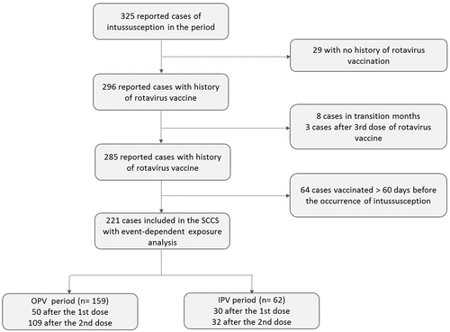 Figure 1. Flowchart of the analyses of 325 confirmed cases of intussusception in children aged from 6 weeks to 11 months and 29 days of age, reported to surveillance system. Sao Paulo State, Brazil, March 2006 – Dec 2017.