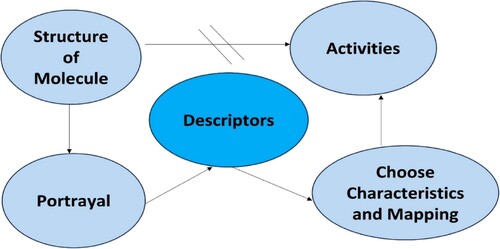 Figure 10. Activities of descriptors.