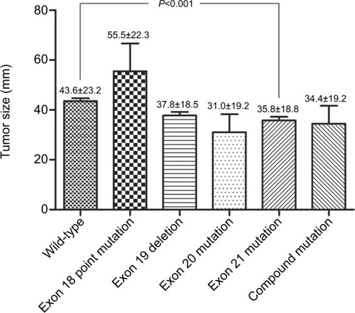 Figure 3 Relationship between tumor size and EGFR mutation subtypes.Abbreviation: EGFR, epidermal growth factor receptor.