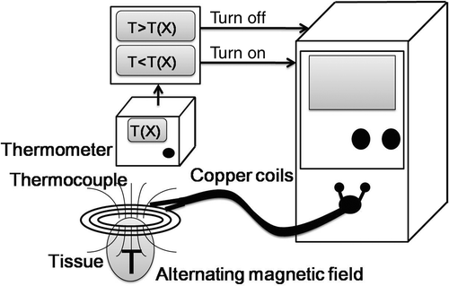 Figure 1. A schematic diagram of the electromagnetic thermal surgery system used in the study. The system was designed in our laboratory and custom-made by a commercial manufacturer.