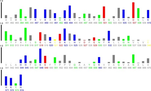 Figure 10 Plot of relative solvent accessibility area of HHb residues (PDB ID: 2 HHB) from 0 to 1. Color scheme used is: blue, positively charged residues (R, K, and H); red, negatively charged residues (D and E); green, polar uncharged residues (G, N, Y, Q, S, T, and W); yellow, cysteine; gray, hydrophobic residues (all others). This plot was generated by http://www.abren.net/asaview/.