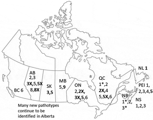 Fig. 1 The predominant pathotypes of Plasmodiophora brassicae across Canada (Williams Citation1966; Ayers Citation1972; Strelkov and Hwang Citation2014; Strelkov et al. Citation2018; this study). Pathotype nomenclature is according to Williams’ differential system (Williams Citation1966). ”X” pathotypes are able to overcome resistance in 45H29. The pathotypes reported to be present only after 2013 are presented in bold lettering. An Asterix indicates that the pathotype was present in a mixture of two pathotypes: see Ayers (Citation1972)