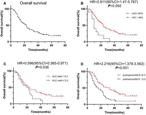 Figure 1 Kaplan–Meier curves of overall survival for the entire study cohort (A), for patients with V20 of TVB ≥ 80% versus < 80% (B), for patients with ALC Nadir ≥ 0.3*109/L or < 0.3*109/L (C), and for patients with Pretreatment NLR ≥ 2 or 2 (D).